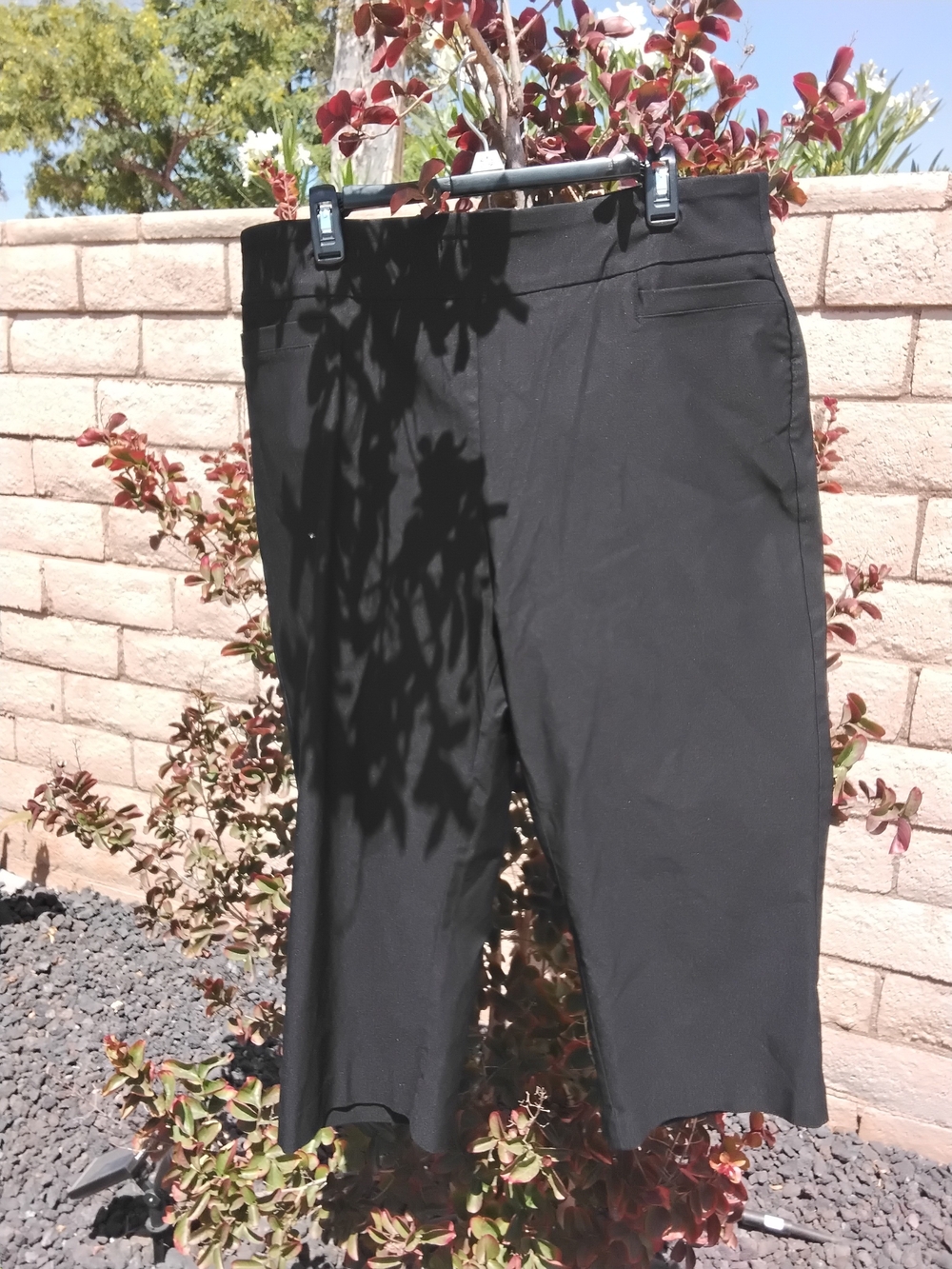 Kim Rogers Black Women's Capris Stretch Pull-On